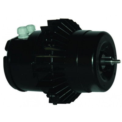 Moteur électrique TG070P06 - 26080059