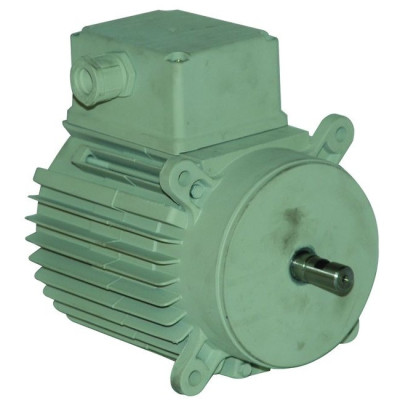 Moteur électrique D0033.00 - 31080177