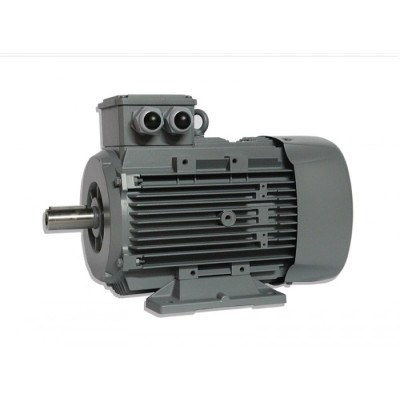 Moteur électrique Q2E 112 M4C41 - 25090517