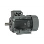 Moteur électrique Q2E 112 M4C41 - 25090517