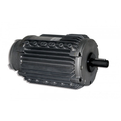 Moteur électrique CM29G TRI-0.22/0.09KW 12P - 25081022