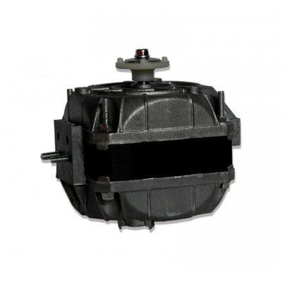 Moteur électrique 5-82CE 2010 - 31070006