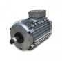 Moteur CM29G/T-2KW-6P - 25080682