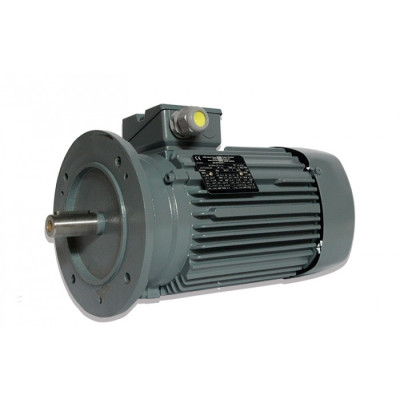 Moteur électrique WE1R 90 L4-IE2 - 25090414