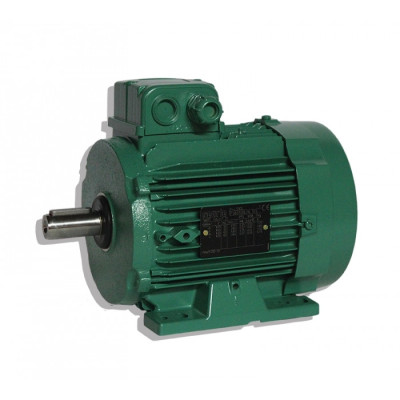 Moteur électrique LS90 L12  0.18/12 SEARLE - 25090482