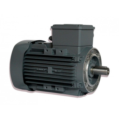 Moteur électrique Q2EFC 90 L4D40 1.5/4 B14 - 25090409