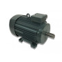 Moteur électrique K25R 100 L4 5/4 - 25090349