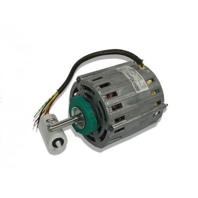 Moteur électrique 11U07500 - 31202109