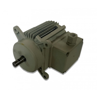 Moteur électrique C026800 	 - 31200980