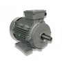 Moteur MTA 112 M8-6L 2.2/0.93 6/8 B3 - 25090574