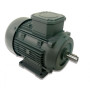 Moteur électrique QS 80 M4A 055/4 B3 - 25090255