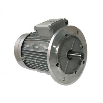 Moteur MTA 100 LX8-4l 0.75/3 8/4 B5 - 25090496