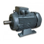 Moteur Q3H 200 L2 30/2 B3 - 25090750