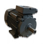 Moteur W41R 132 S4 5.5/4 B3 - 25092259