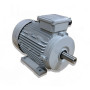 Moteur MTA 100 LX8-4L 3.0/0.75 2/4 B3 - 25090400