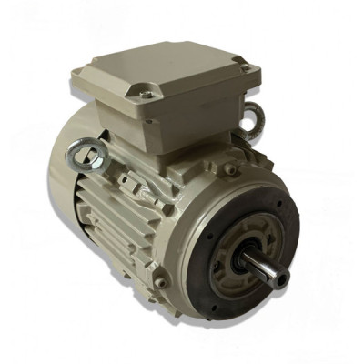 Moteur ST3 80 G4 0.75/4 B14 - 25090646