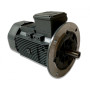 Moteur Q3HFA 100 1.5/6 B5 FF215 - 25090738