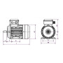 Moteur Q3H 80 M2D 1.1/2 B14 - 25090739