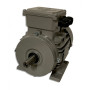 Moteur MTA 80 G6-4L  0.22/0.75 6/4  B3 - 25090262