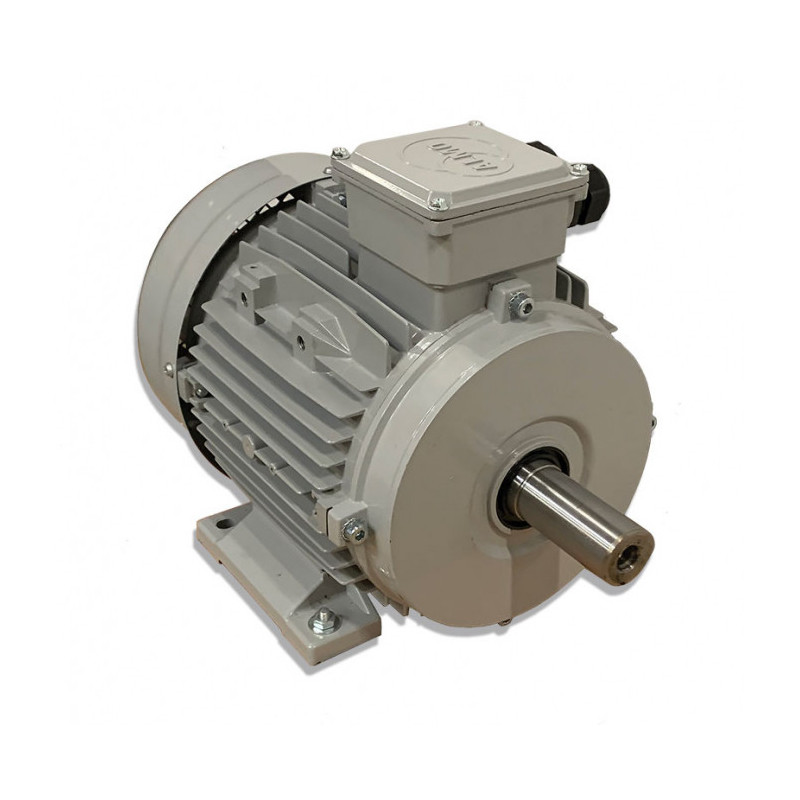 Moteur Delta DOUBLE ARBRE 1/4 CV, CAT 6000B, 1725 Tr/min - Ancien, Fonctionne