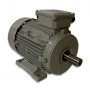 Moteur MTA 100 L12-6L 0.2/1.5KW 12/6P B3 - 25090669