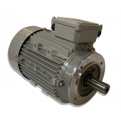 Moteur MTA 100 L12-6L 0.2/1.5 12/6 B14 - 25090667