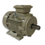 Moteur SPL 100 L8 0.75/8 B3 - 25090715