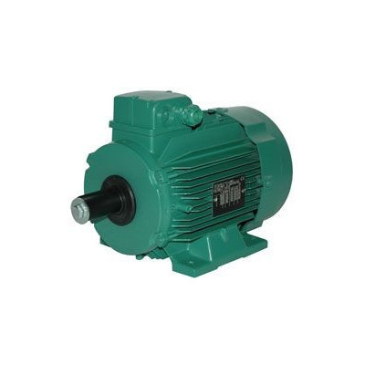 Moteur électrique LS 90 1.5/4 - 25090520