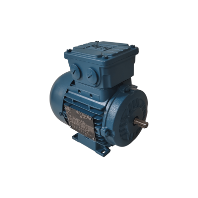 Moteur WEG 63 0.25/4 B3 - 25101670