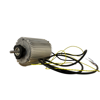 Moteur électrique 11072900 - 31080550