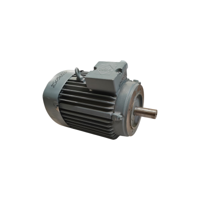 Moteur K21R 112 M2 4.0/2 B14 - 25090534
