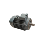 Moteur K21R 112 M2 4.0/2 B14 - 25090534