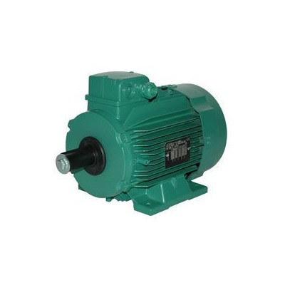 Moteur électrique LS 132 7.5/4 - 25090552