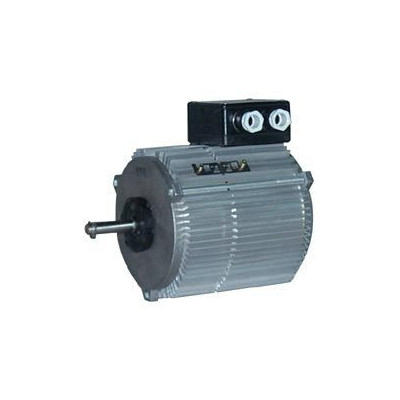 Moteur électrique TX070P04 - 26080023