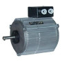 Moteur électrique TX070P04 - 26080023
