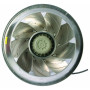 Moto-turbine RM56D-4DK.6N.1R