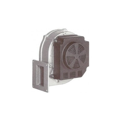 Ventilateur air chaud G1G170-AB53-03 - 13610170