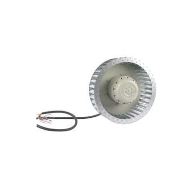 Moto-turbine RE31P-4DK.4I-3L - 11440305