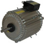 Moteur électrique TX120L12 - 26090062