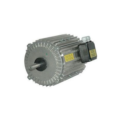 Moteur électrique TX140L06 - 26090067