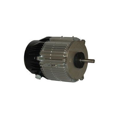 Moteur électrique MX030 P06 - 26081025