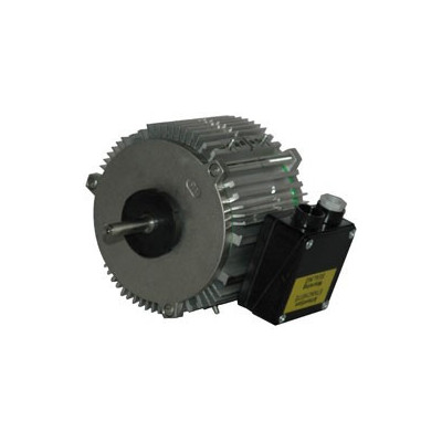 Moteur électrique MXC030 P08 - 26081027