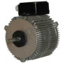 Moteur électrique MX040P04 - 26081044