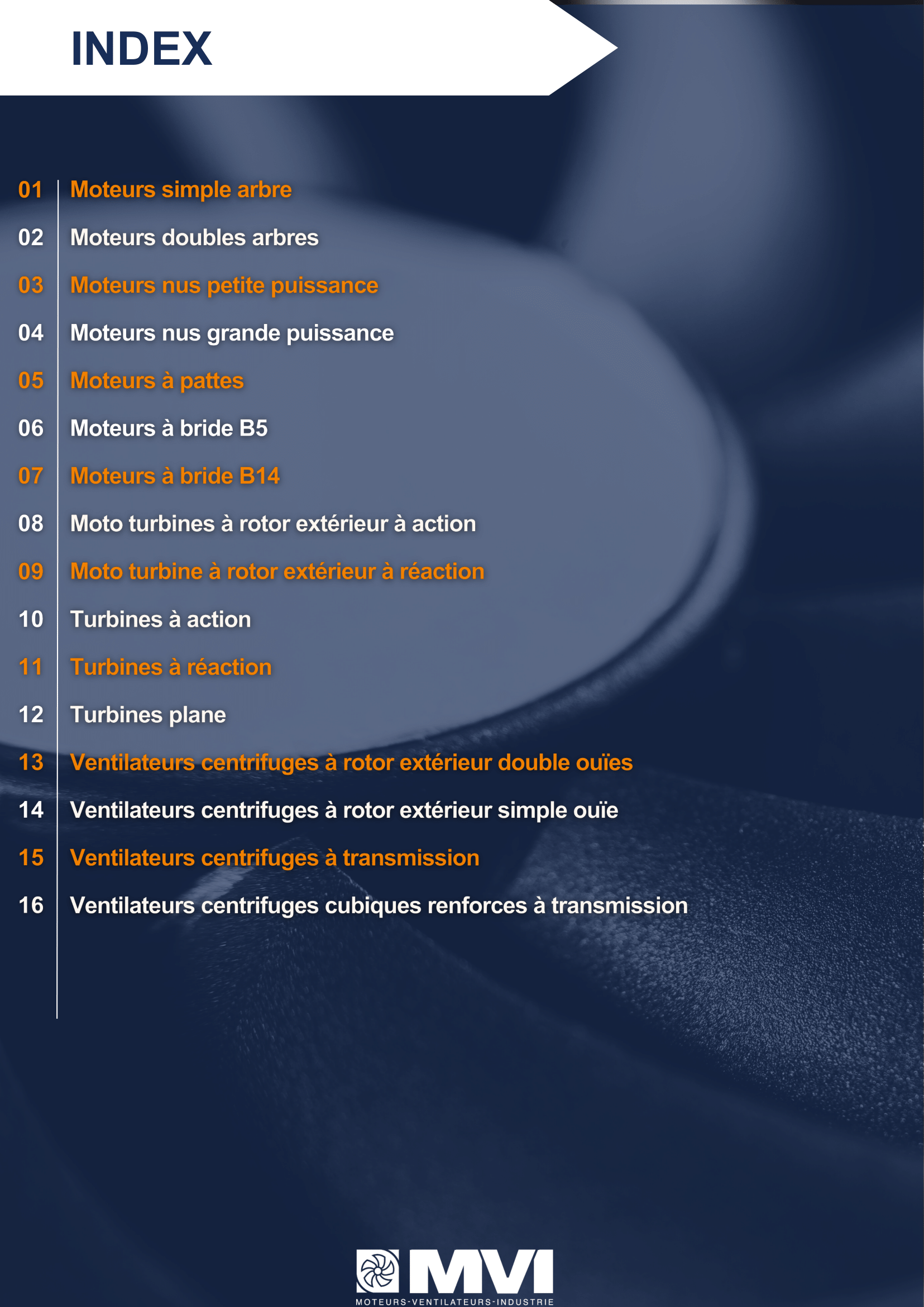 sommaire-guide-de-recherche-mvi