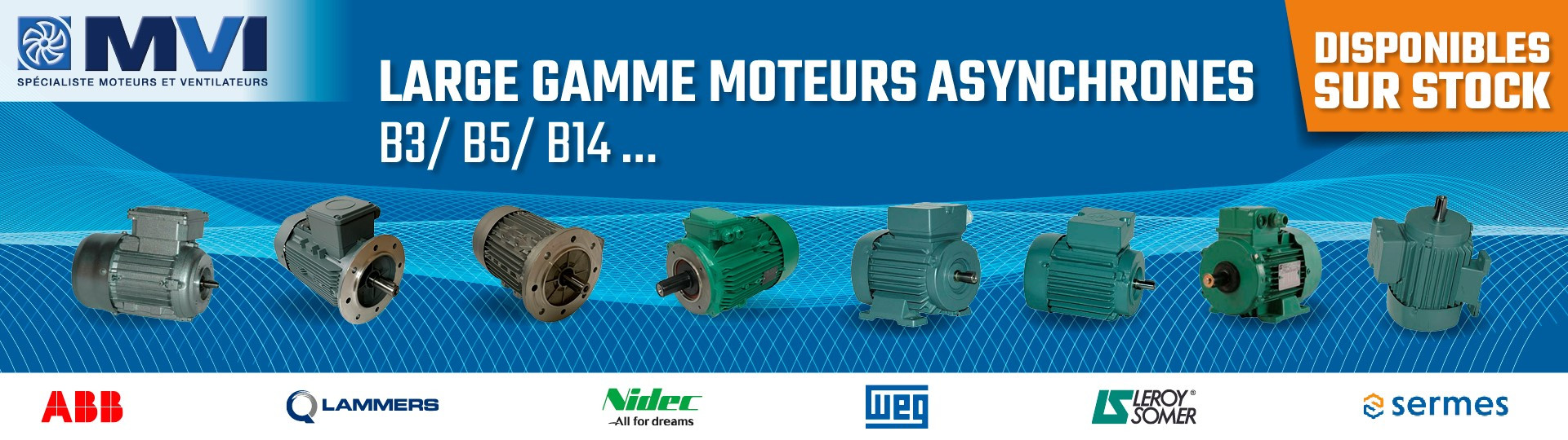 Moteurs asynchrones B3 B5 B14 Moteurs asynchrones B3 B5 B14