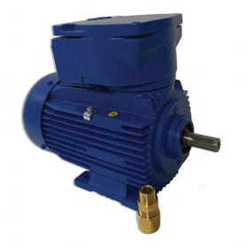 Moteur 4KTC 80 0.75/4 B3 Exd 2G IIB T4