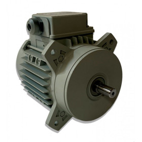 MOTEUR 6AH5 - D003000
