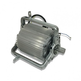 Moteur électrique 11072900