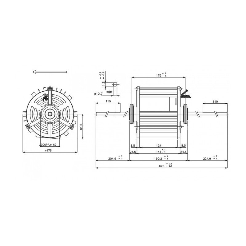 Moteur électrique B001103