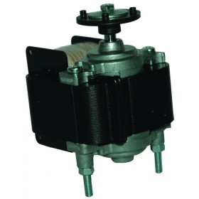 Moteur électrique C.30-1 3RA